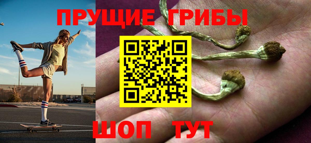 Братск  Псилоцибиновые грибы Psilocybe  Вход с VPN 